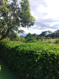 Villa Guayacanes Forest - 4