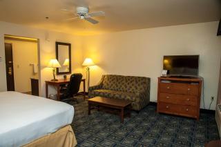 Holiday Inn Express Tucson-Airport by IHG - 3