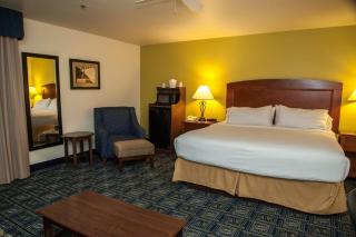 Holiday Inn Express Tucson-Airport by IHG - 1
