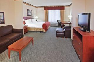 Holiday Inn Express Hotel & Suites Dallas Lewisville by IHG - 7