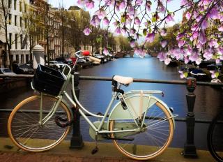 Kingsize Apartments - Luxury Stay near Leidseplein & Rijksmuseum - Amsterdam City Centre - 3
