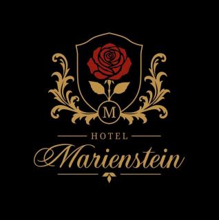 Hotel Marienstein Vogtland - 9
