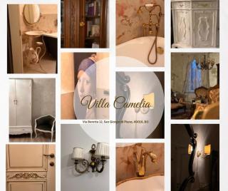 Villa Camelia - 9