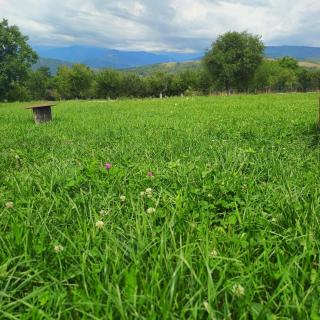 Livada Din Muscel- Casa Iulia - 5