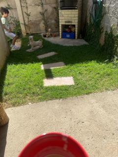 Accommodation and comfort with open space and garden - 5