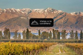 Postales Finca & Bodega by DOT Boutique - 5