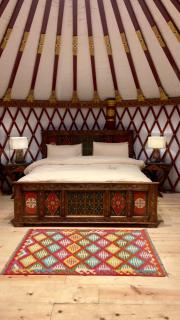 The Glamping Spot Changla Gali - 5