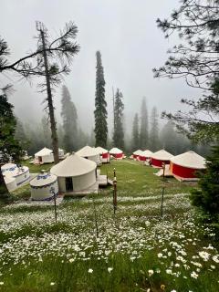 The Glamping Spot Changla Gali - 0