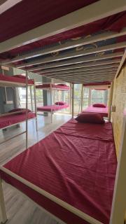 The sattva house - hostel - 2