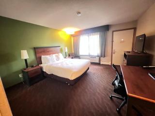 The DL Hotel - 4