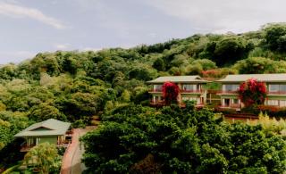 Ficus Sunset Suites - 0