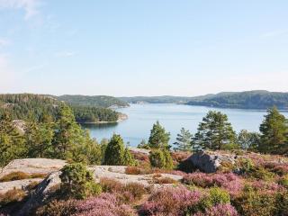 4 star holiday home in Henån - 9