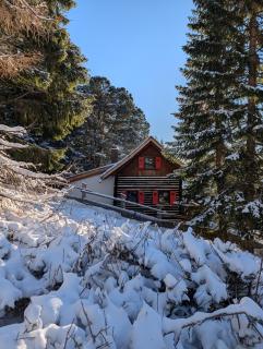 Sechszirbenhütte am Falkert 1700 m - 6