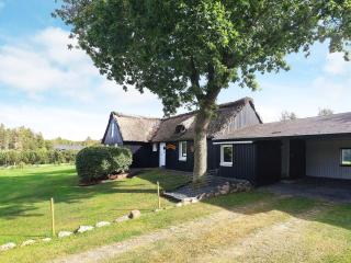 Charming cottage near forest in Farsø - 3