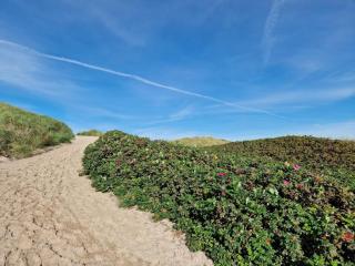 6 person holiday home in Hvide Sande - 7