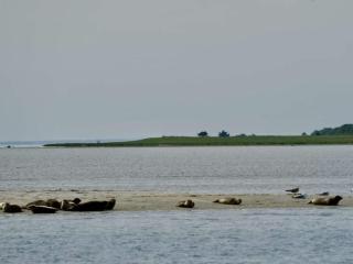 6 person holiday home in Hadsund - 3