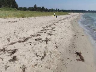 Cosy holiday home near Begtrup Vig Beach - 2
