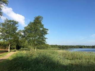 5 star holiday home in Ansager - 1