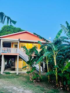 Lil House at Plum Tree Apartments - 0