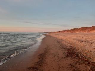 4 star holiday home in Hjørring - 1