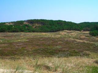 5 star holiday home in Thisted - 1