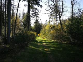 5 star holiday home in Thisted - 5