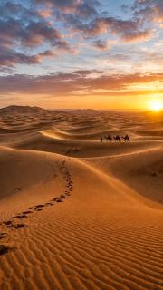 Merzouga Authentic Luxury Camp - 0