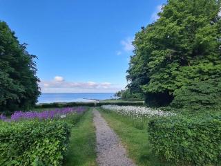 5 star holiday home in Nysted - Nysted - 6