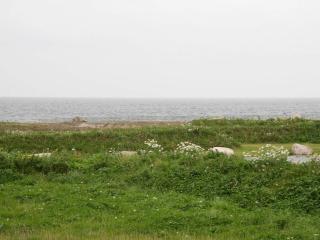 5 star holiday home in Nysted - Nysted - 5
