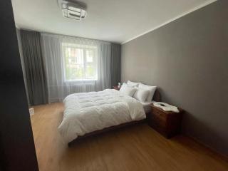Cozy 1BR Apt, Sleeps 4 Free Parking - 8