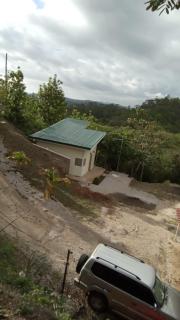 The Jungle Chalet - 8