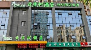 Vatica Hotel Hefei Yaohai Longgang Subway Station - 1