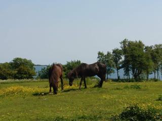 4 star holiday home in Aabenraa - 6