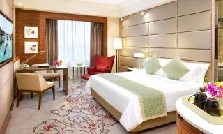 Hotel Sitara Inn - 1