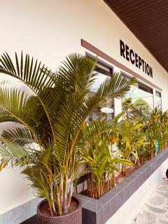 Vuon Xanh Hotel & Cafe - 8