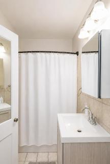 Spacious Studio, Coolidge Corner, Public Transpor - 1