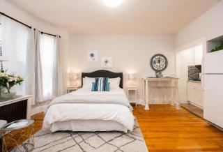 Spacious Studio, Coolidge Corner, Public Transpor - Brookline - 5