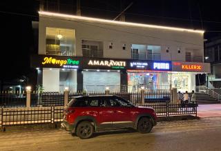 Mango Tree - 5