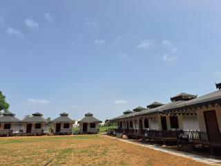 Orchard Royal Pushakr Camps - 0