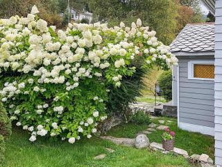 6 person holiday home in Utvik - 1