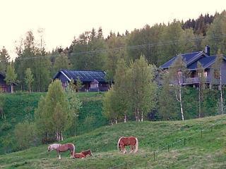 6 person holiday home in Nordli - 6