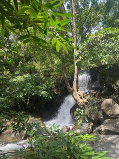 Forest Stay near Bana Hills - Toom Sara Bungalows -  - 2