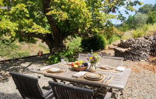 3 Bedroom Beautiful Home In Roquebrun - 8