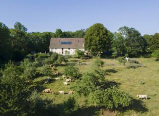 Gîte Domaine de Bos - 6