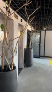 Chic studio in Bastos with large gym - 5