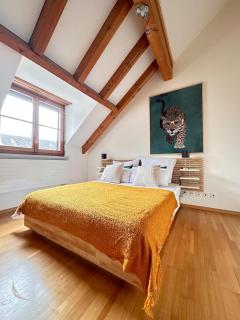 HRE Apartment Winterthur Seen für 4 Gäste - 8