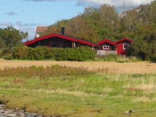 4 star holiday home in Hälleviksstrand - Hälleviksstrand - 6