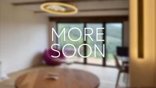 Privates Loft auf 1200m mit Kamin, Balkon & Hundegarten - Plessnitz - 9