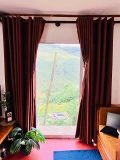 Tea Forest - 8