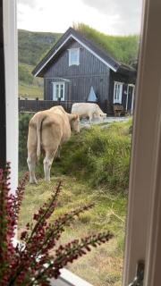 Mountain cabin by Lemonsjøen, Jotunheimen, Lom, Vågå - 1